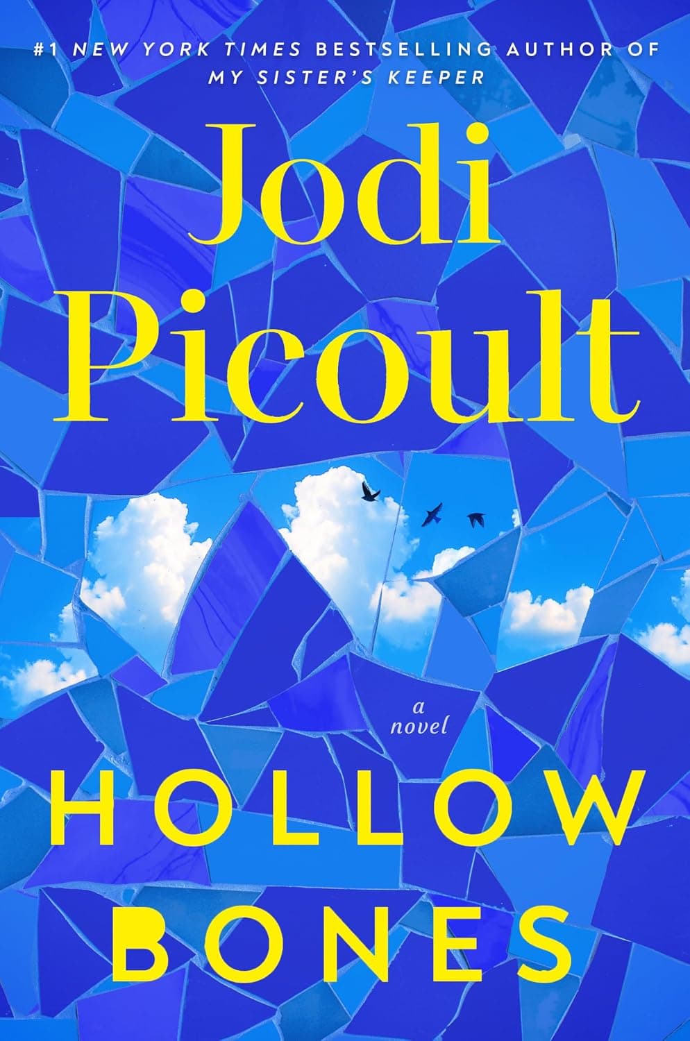 Hollow Bones A Novel by Jodi Picoult Hardcover Book Cover
